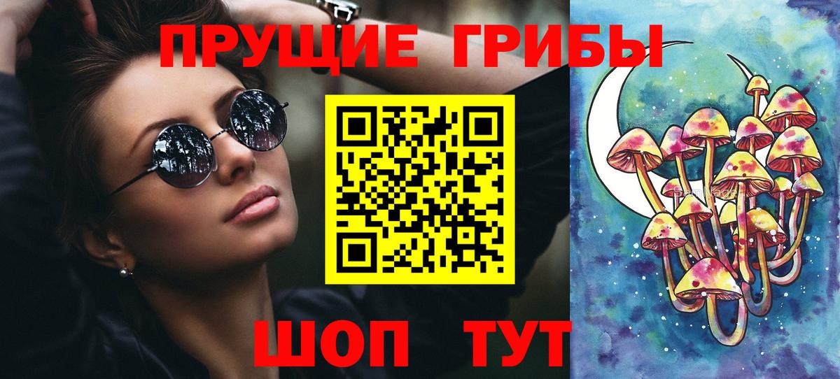 Карабулак  Псилоцибиновые грибы MAGIC MUSHROOMS  Вход с VPN 